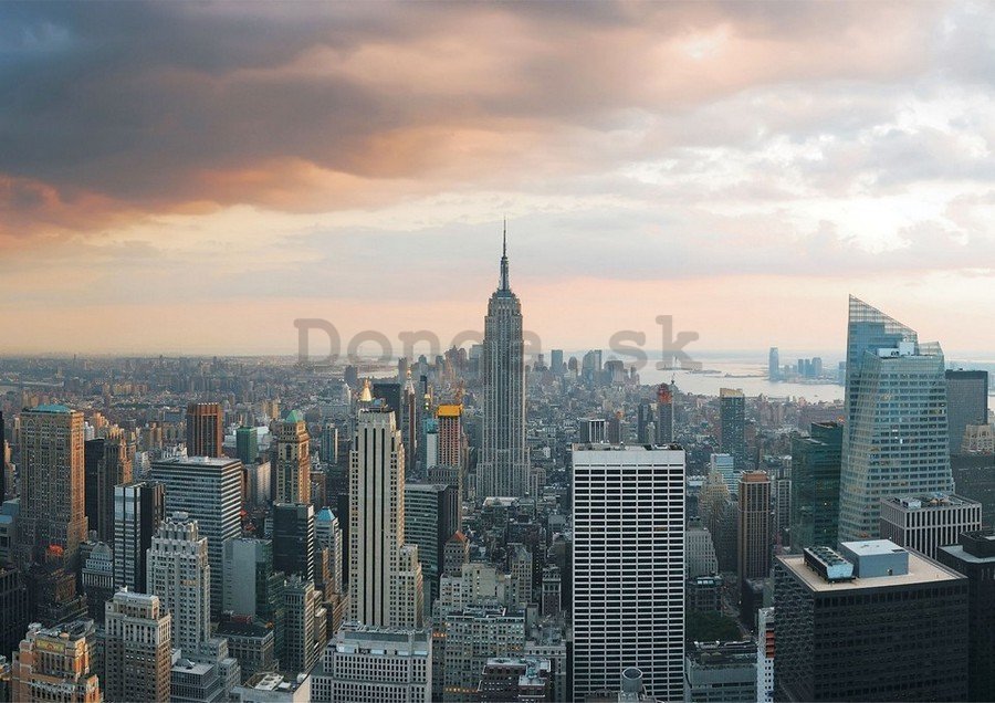 Obraz na plátne: Manhattan (4) - 75x100 cm