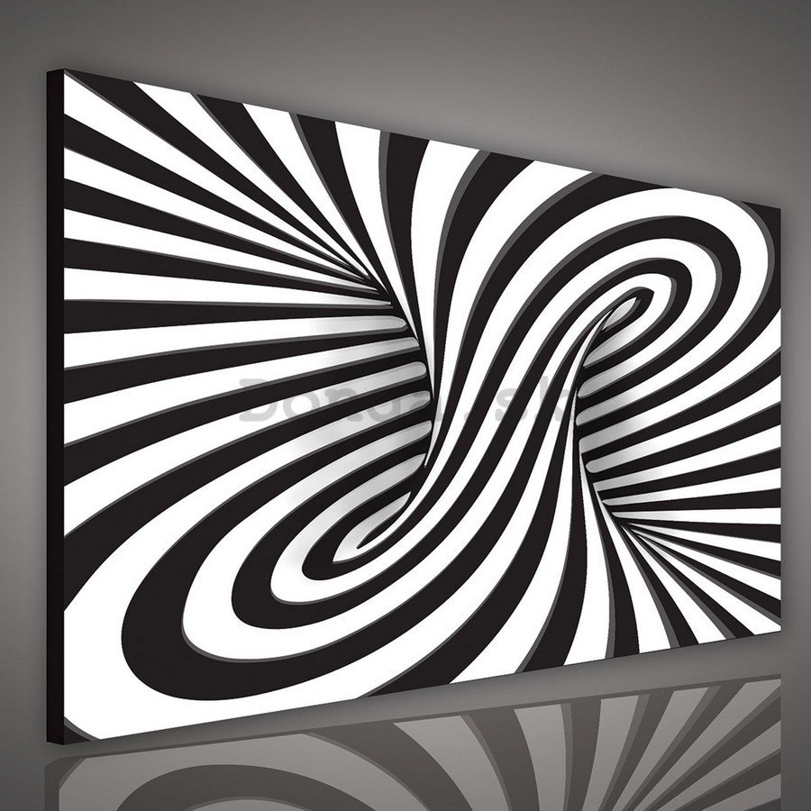 Obraz na plátne: Pruhovaná ilúzie (2) - 75x100 cm