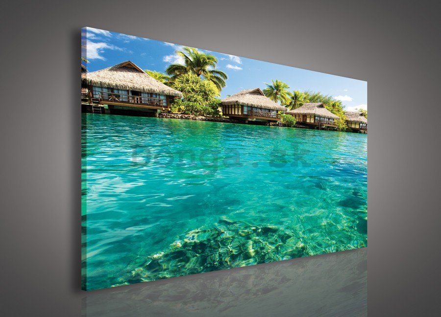 Obraz na plátne: Hawaii - 75x100 cm