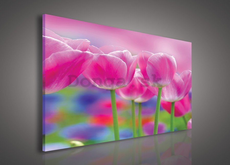 Obraz na plátne: Fialové tulipány - 75x100 cm
