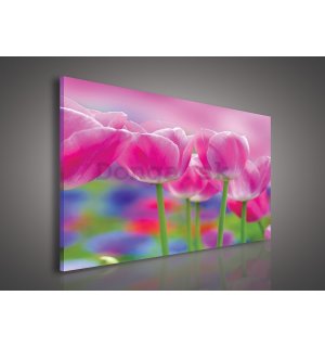 Obraz na plátne: Fialové tulipány - 75x100 cm