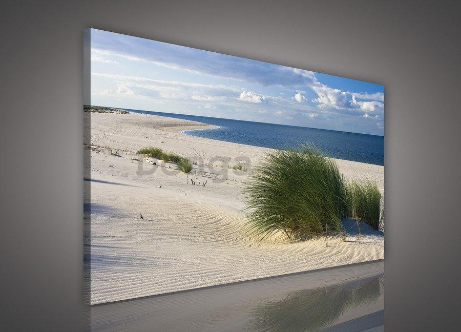 Obraz na plátne: Piesočná pláž (1) - 75x100 cm