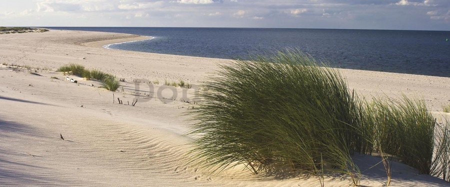 Obraz na plátne: Piesočná pláž (1) - 75x100 cm