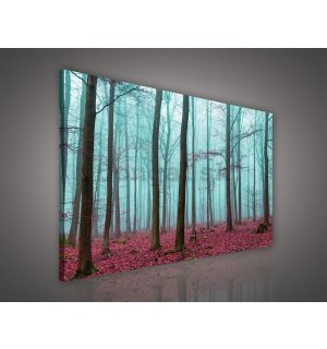 Obraz na plátne: Hmla v lese (3) - 75x100 cm