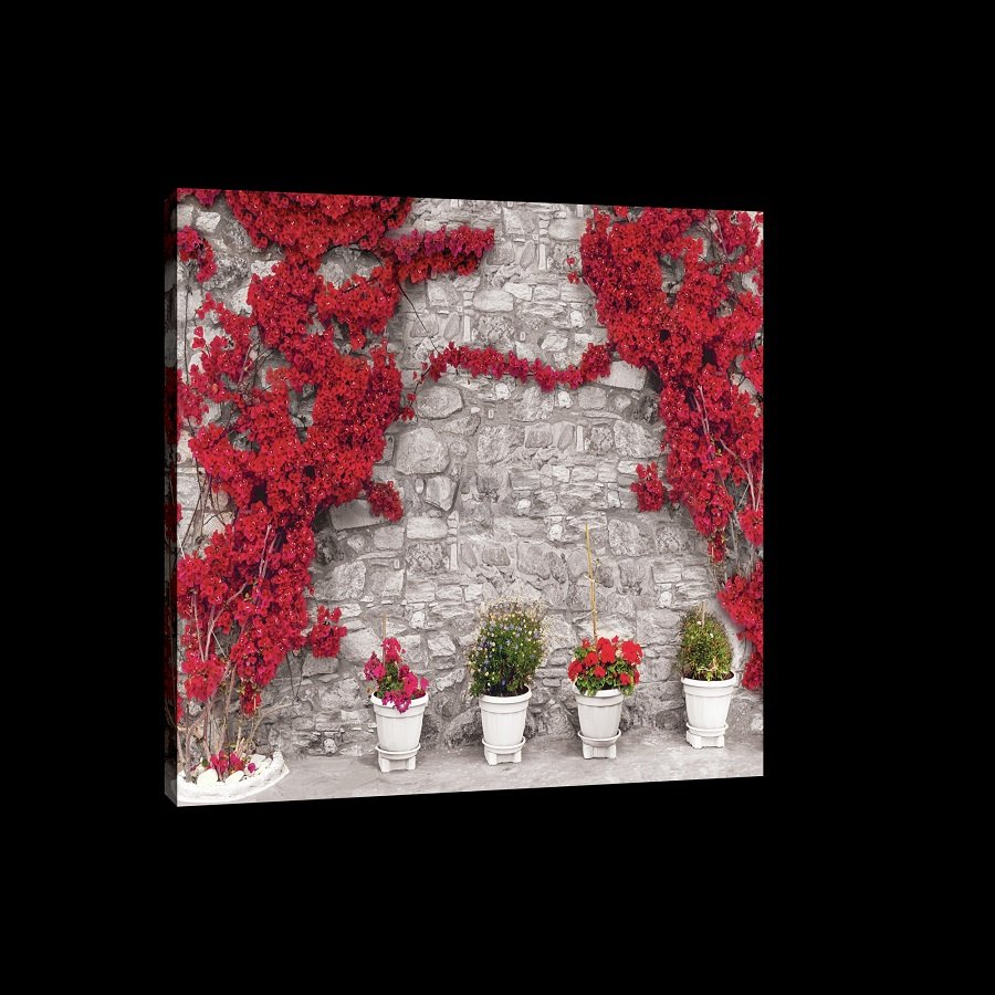 Obraz na plátne: Červená kvetinová múr - 75x100 cm