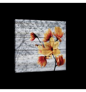 Obraz na plátne: Magnolie (5) - 75x100 cm
