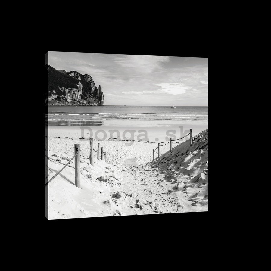 Obraz na plátne: Piesková pláž (čiernobiela) - 75x100 cm