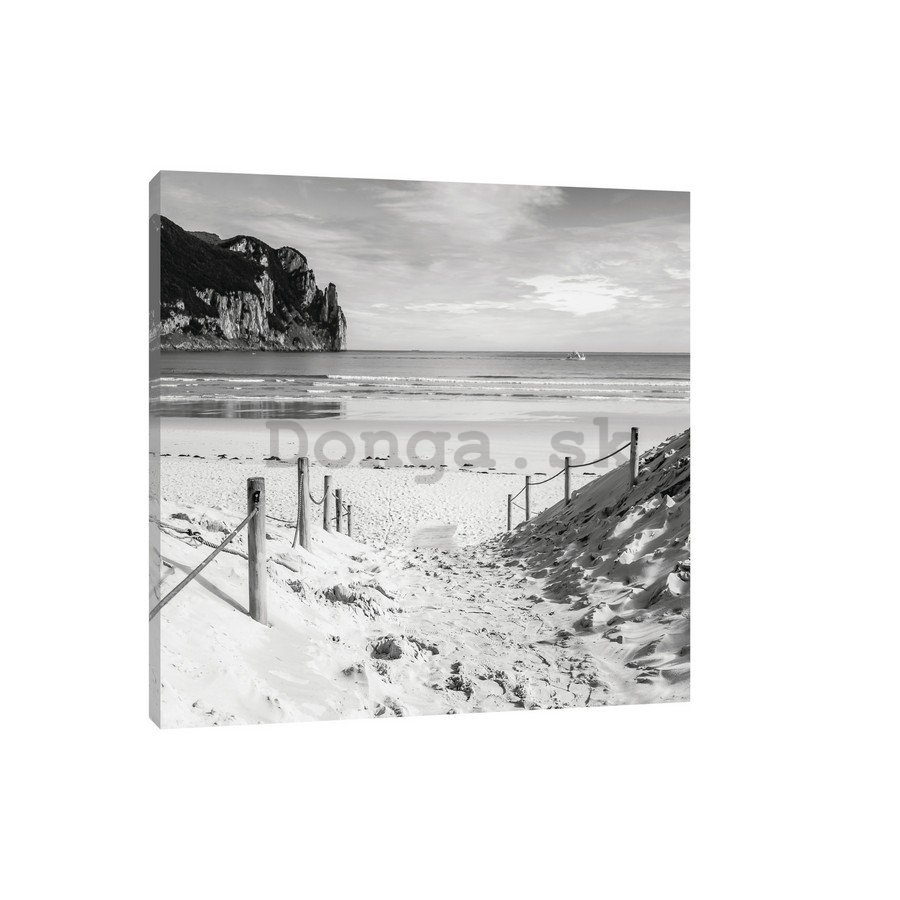 Obraz na plátne: Piesková pláž (čiernobiela) - 75x100 cm