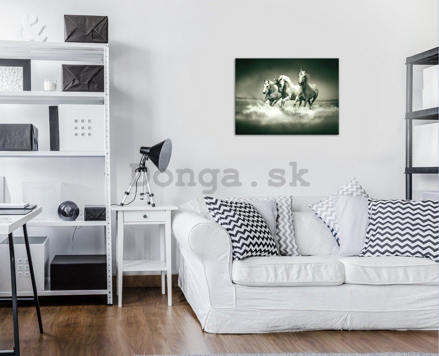 Obraz na plátne: Jednorožce (čiernobiela) - 75x100 cm