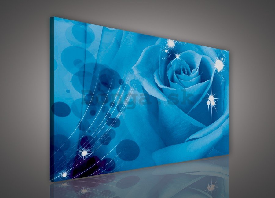 Obraz na plátne: Modrá ruža (1) - 75x100 cm