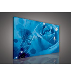 Obraz na plátne: Modrá ruža (1) - 75x100 cm