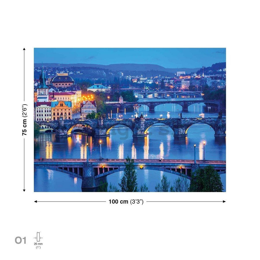 Obraz na plátne: Praha (3) - 75x100 cm