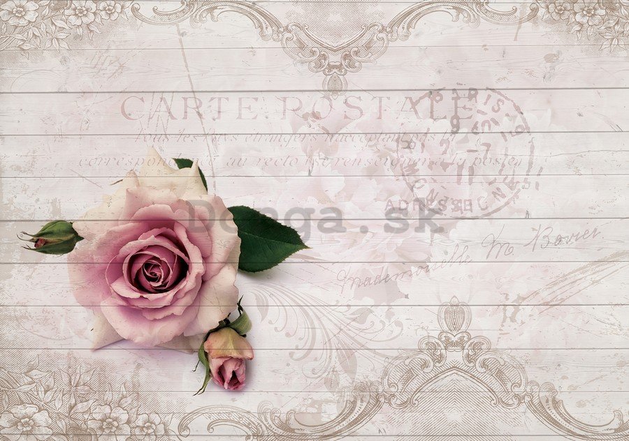 Obraz na plátne: Ruža (carte postale) - 75x100 cm