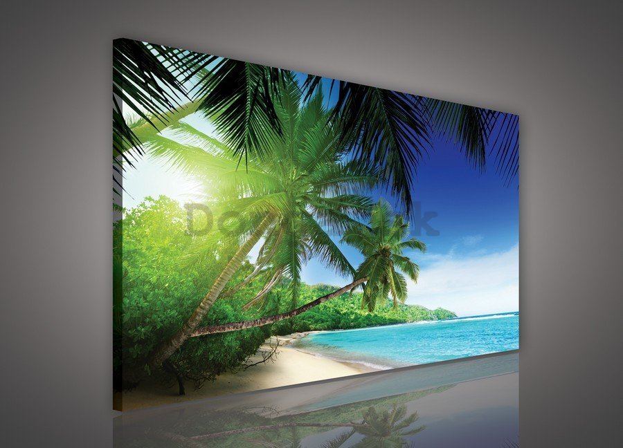 Obraz na plátne: Raj na pláži - 75x100 cm