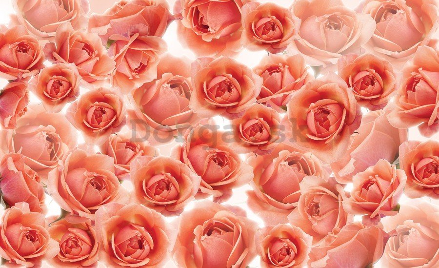 Obraz na plátne: Červené a ružové ruže - 75x100 cm