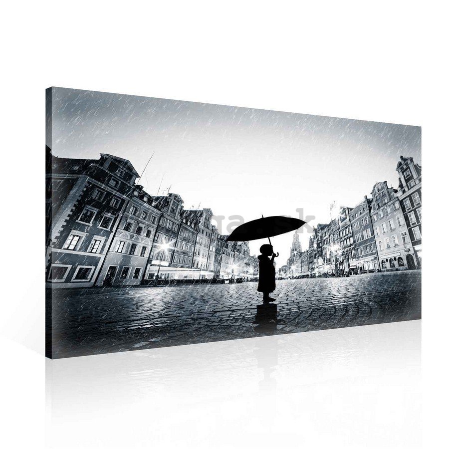Obraz na plátne: Polnočné dážď - 75x100 cm