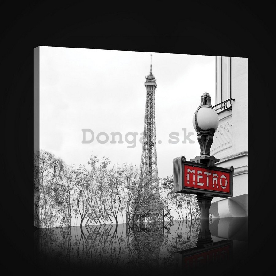 Obraz na plátne: Paríž (metro) - 75x100 cm