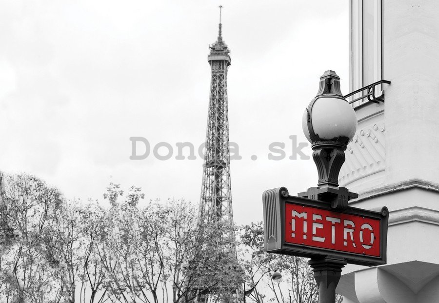 Obraz na plátne: Paríž (metro) - 75x100 cm