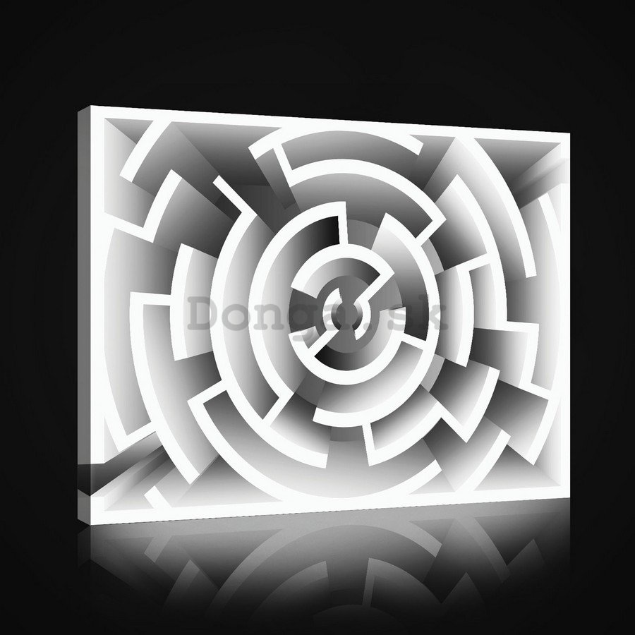 Obraz na plátne: Labyrint (2) - 75x100 cm