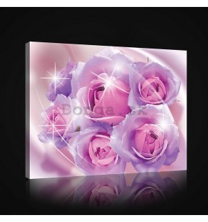 Obraz na plátne: Ružové ruže - 75x100 cm