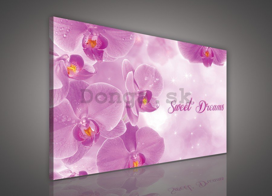 Obraz na plátne: Orchidey (Sweet dreams) - 75x100 cm