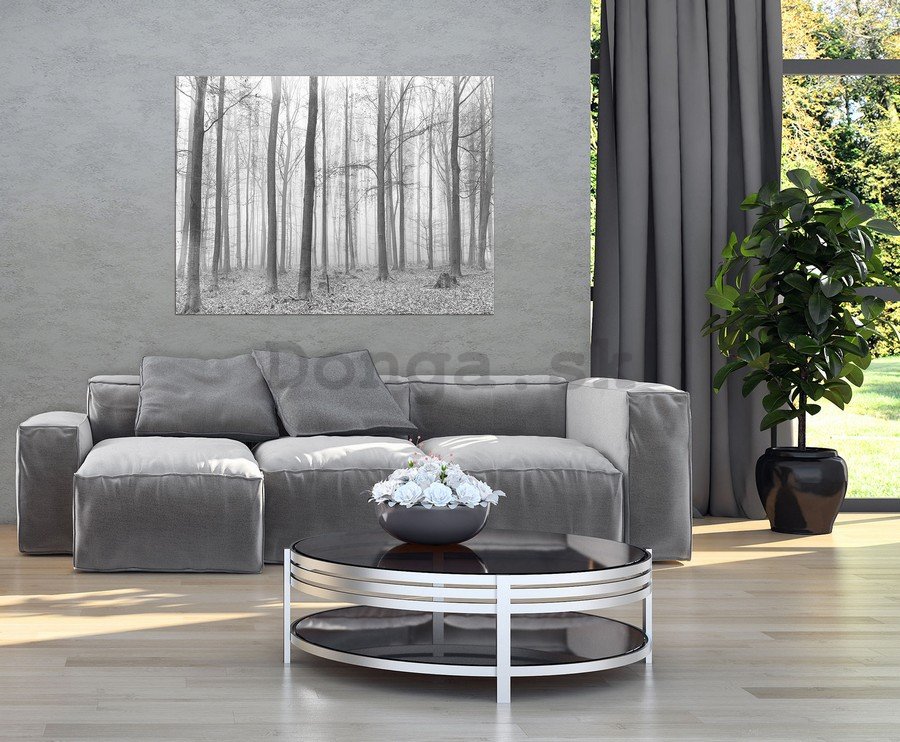 Obraz na plátne: Hmla v lese (2) - 75x100 cm