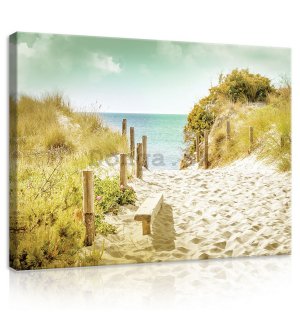 Obraz na plátne: Cesta na pláž (9) - 75x100 cm
