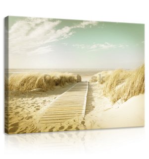 Obraz na plátne: Cesta na pláž (12) - 75x100 cm