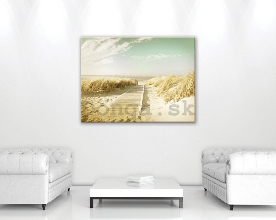 Obraz na plátne: Cesta na pláž (12) - 75x100 cm