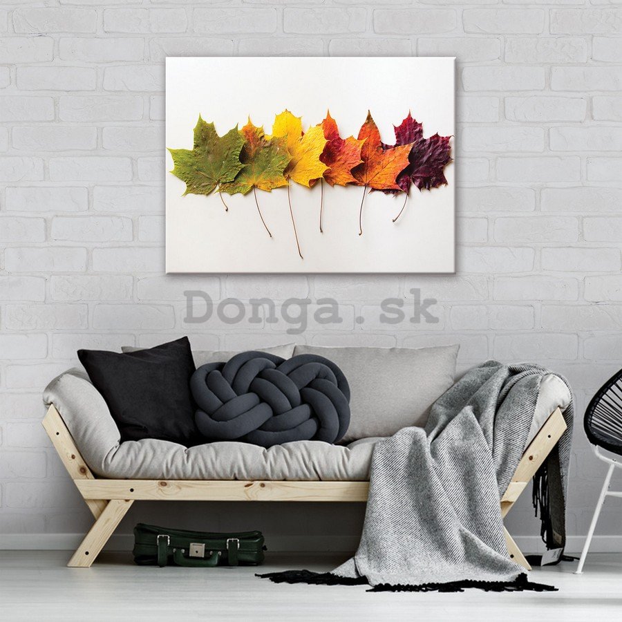 Obraz na plátne: Jesenné lístie - 75x100 cm