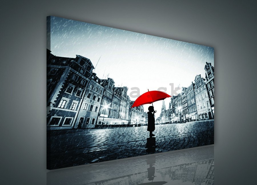 Obraz na plátne: V daždi - 75x100 cm