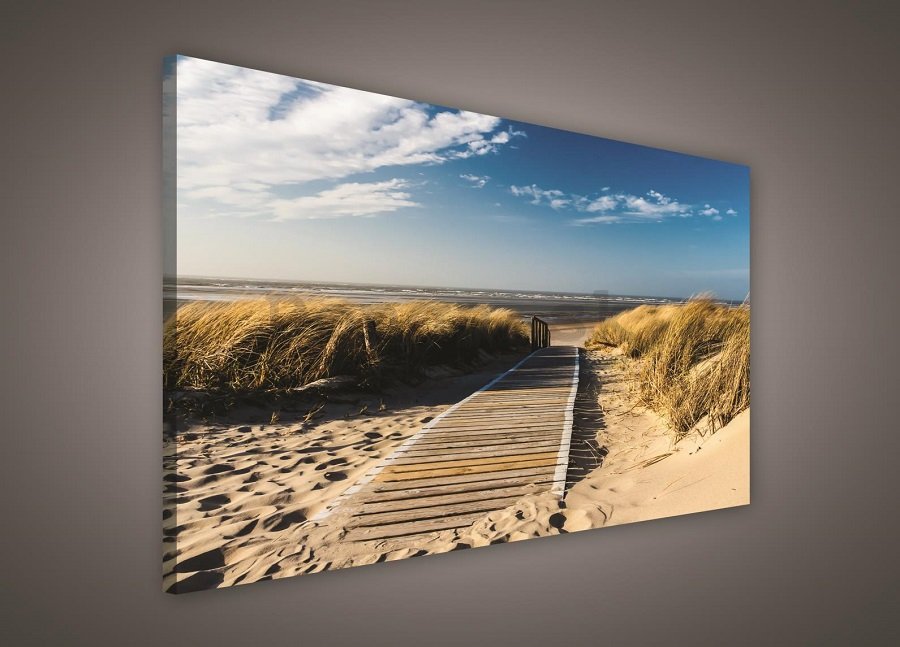 Obraz na plátne: Cesta na pláž (2) - 75x100 cm