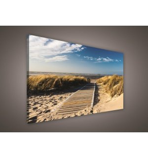 Obraz na plátne: Cesta na pláž (2) - 75x100 cm