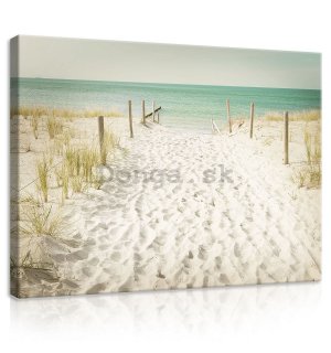 Obraz na plátne: Cesta na pláž (11) - 75x100 cm