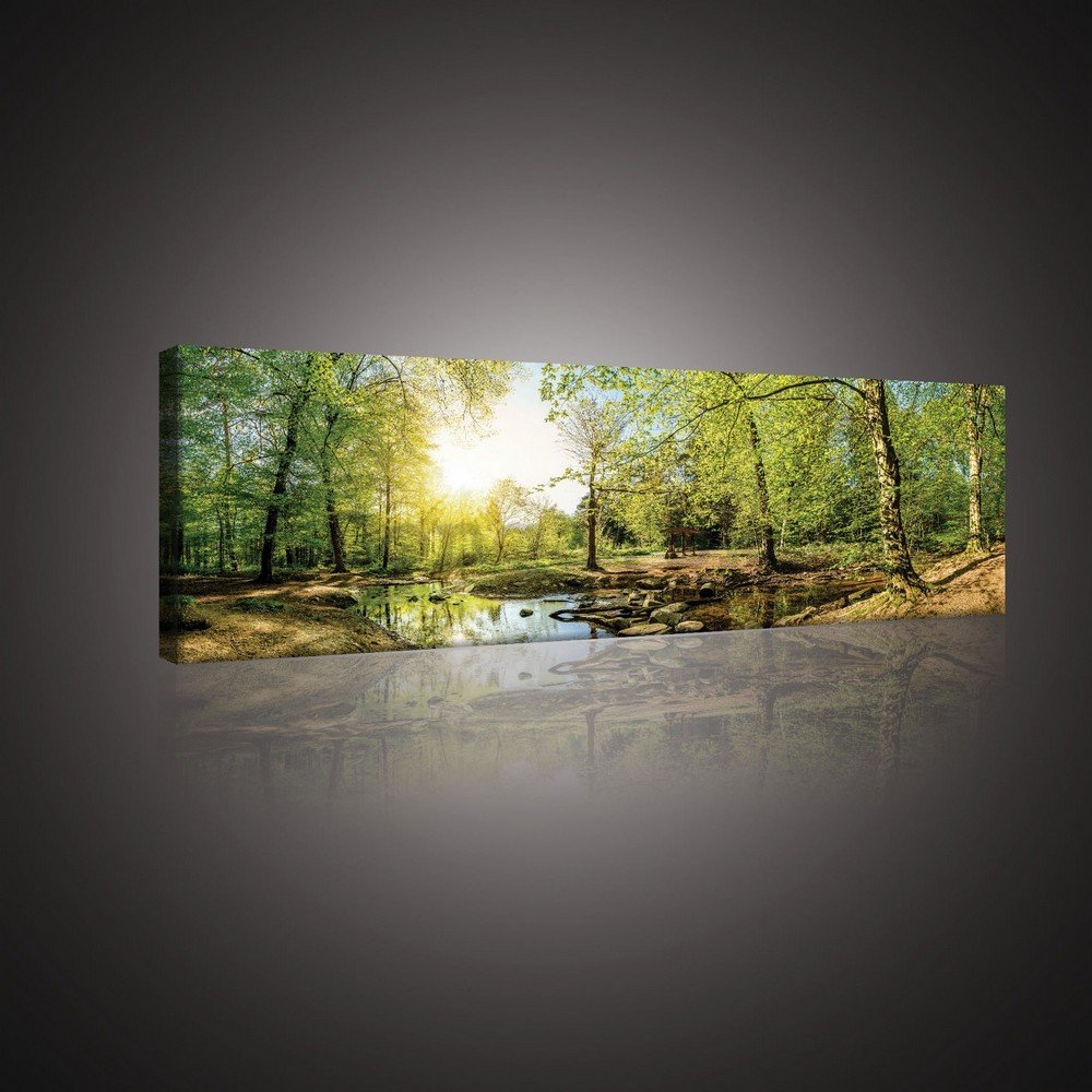 Obraz na plátne: Lesný potok (3) - 145x45 cm