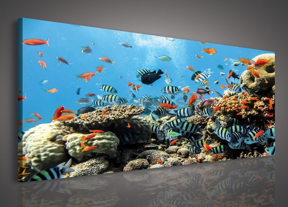 Obraz na plátne: Koralový útes - 145x45 cm