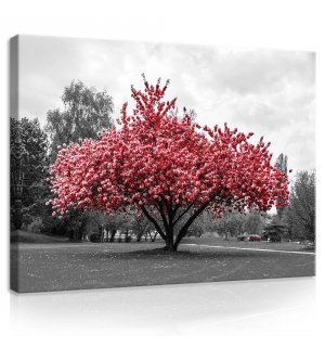 Obraz na plátne: Rozkvitnutý strom - 75x100 cm