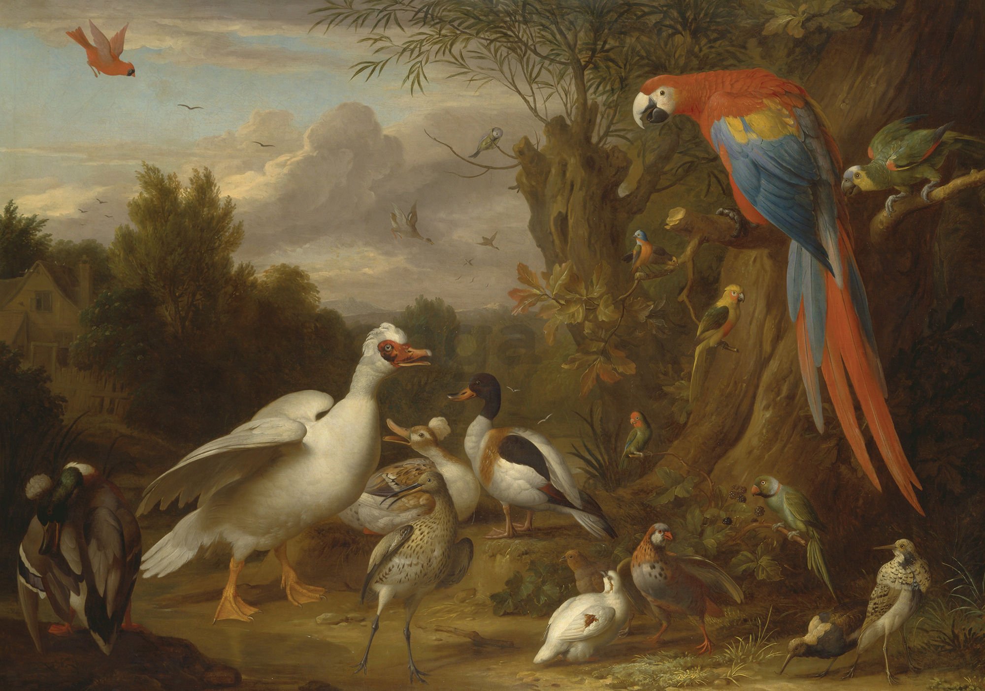 Fototapeta: Ducks, Parrots and Other Birds in a Landscape - 184x254 cm