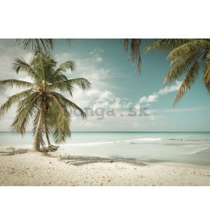 Fototapeta: Palmy nad morom - 184x254 cm
