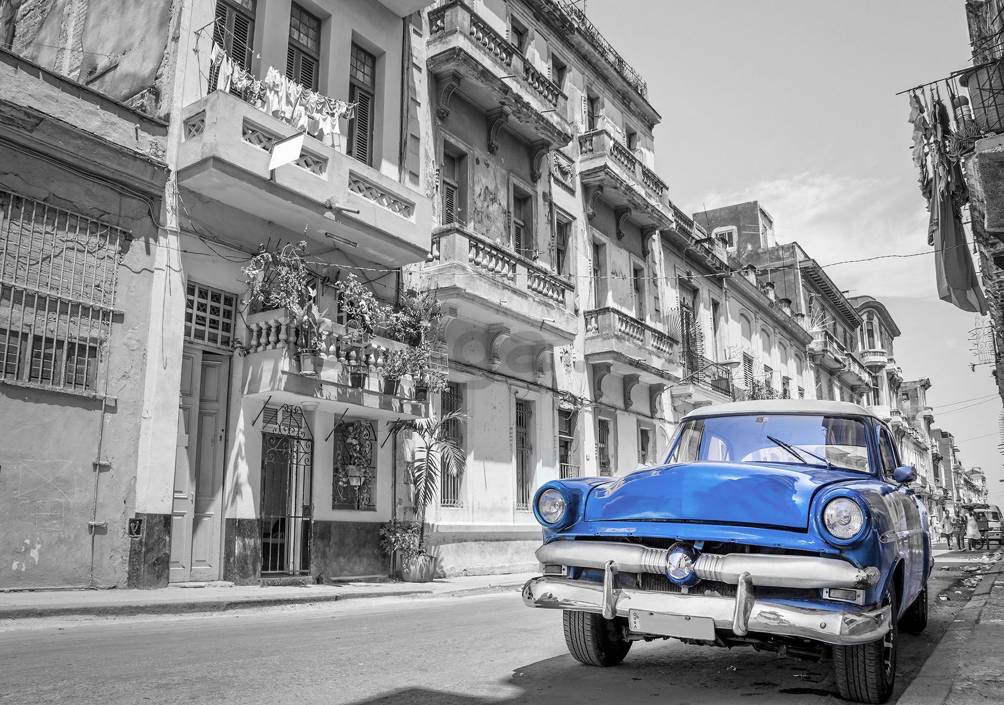 Fototapeta: Havana modré auto - 254x368 cm