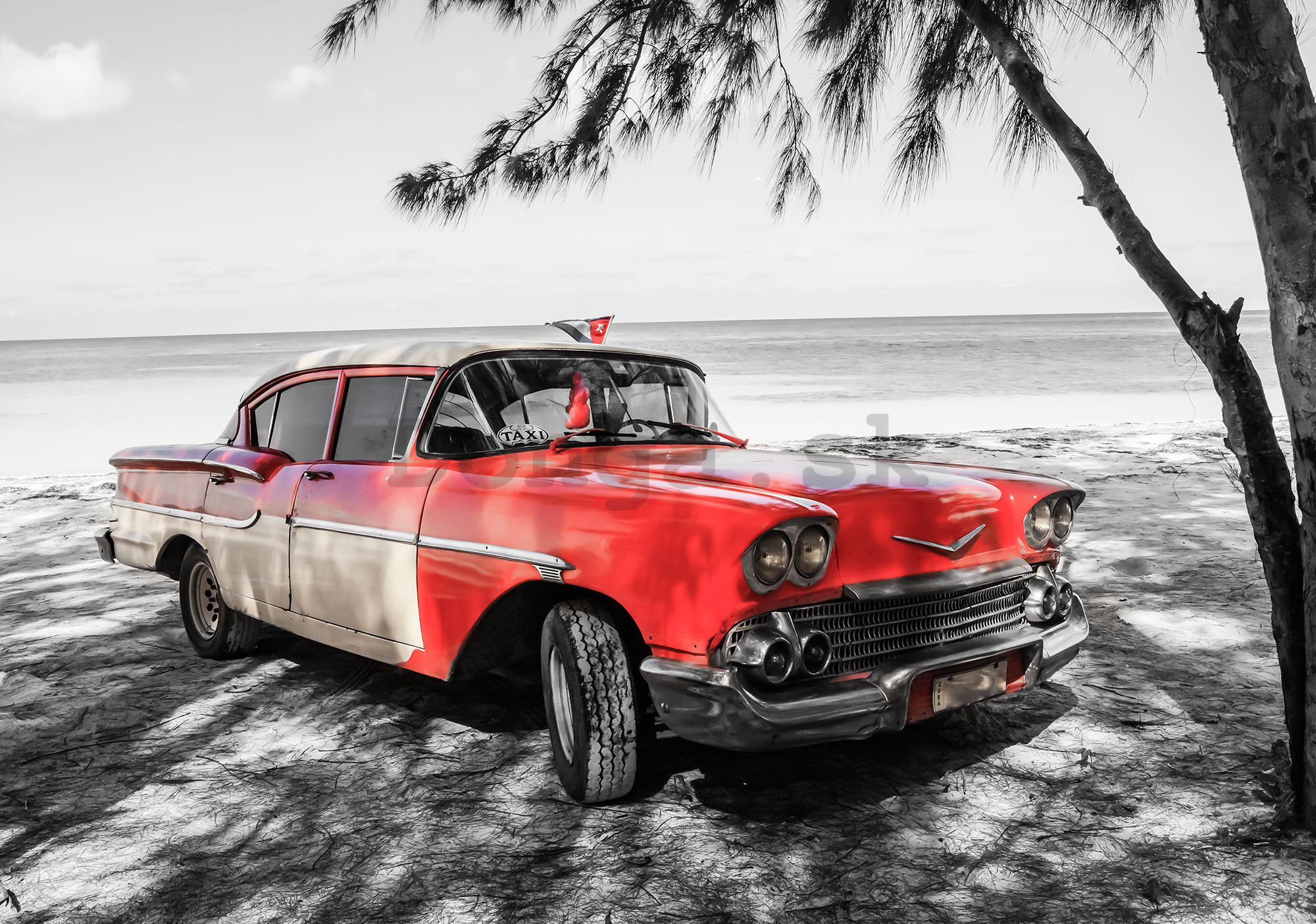 Fototapeta: Kuba červené auto pri mori - 254x368 cm