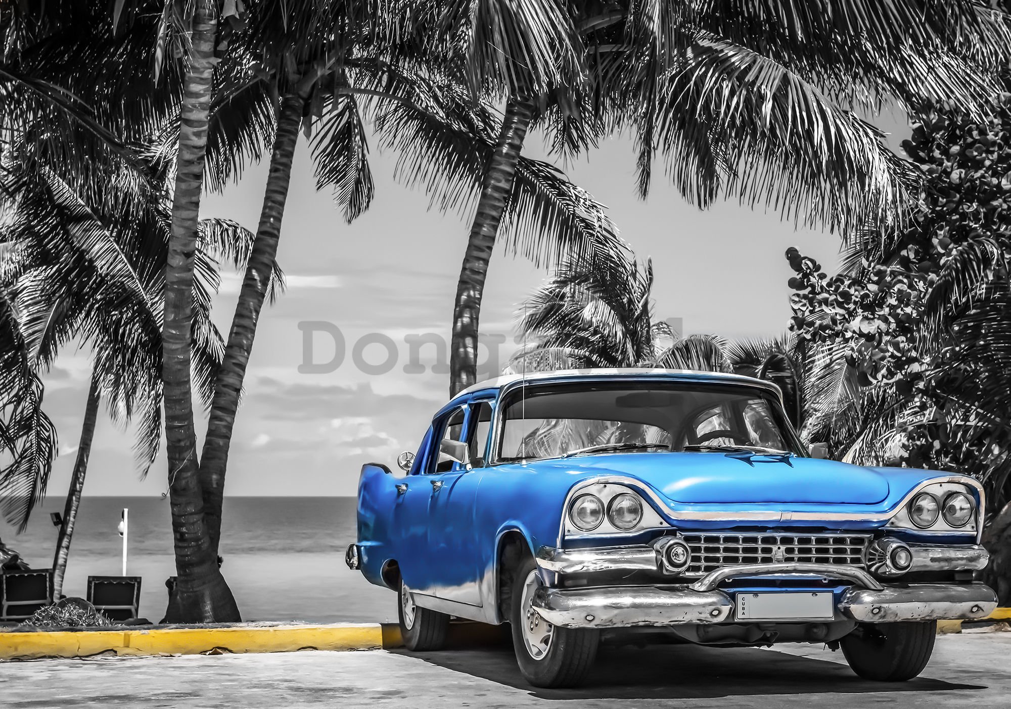 Fototapeta: Kuba modré auto pri mori - 184x254 cm