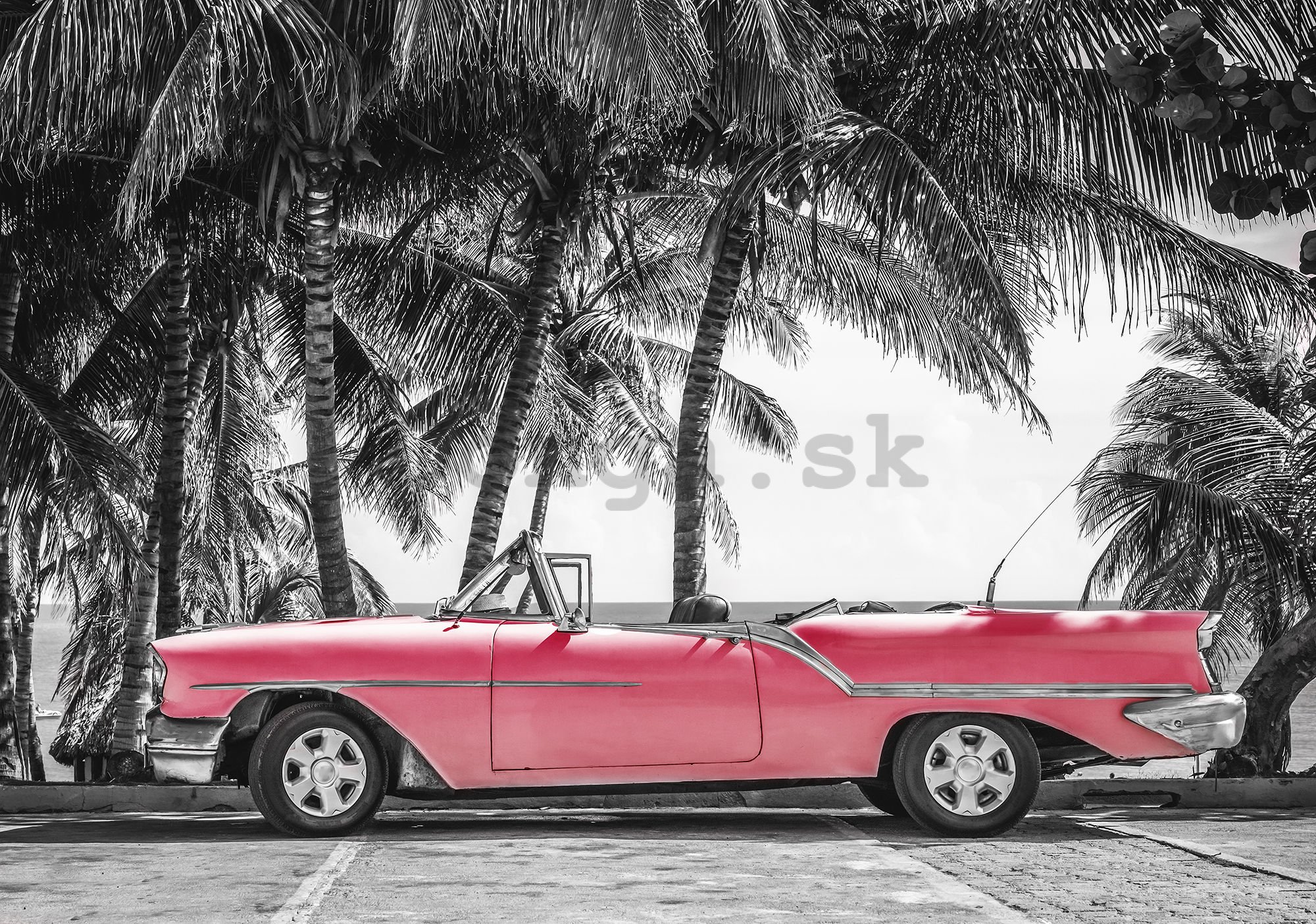 Fototapeta: Kuba červené auto - 104x152,5 cm