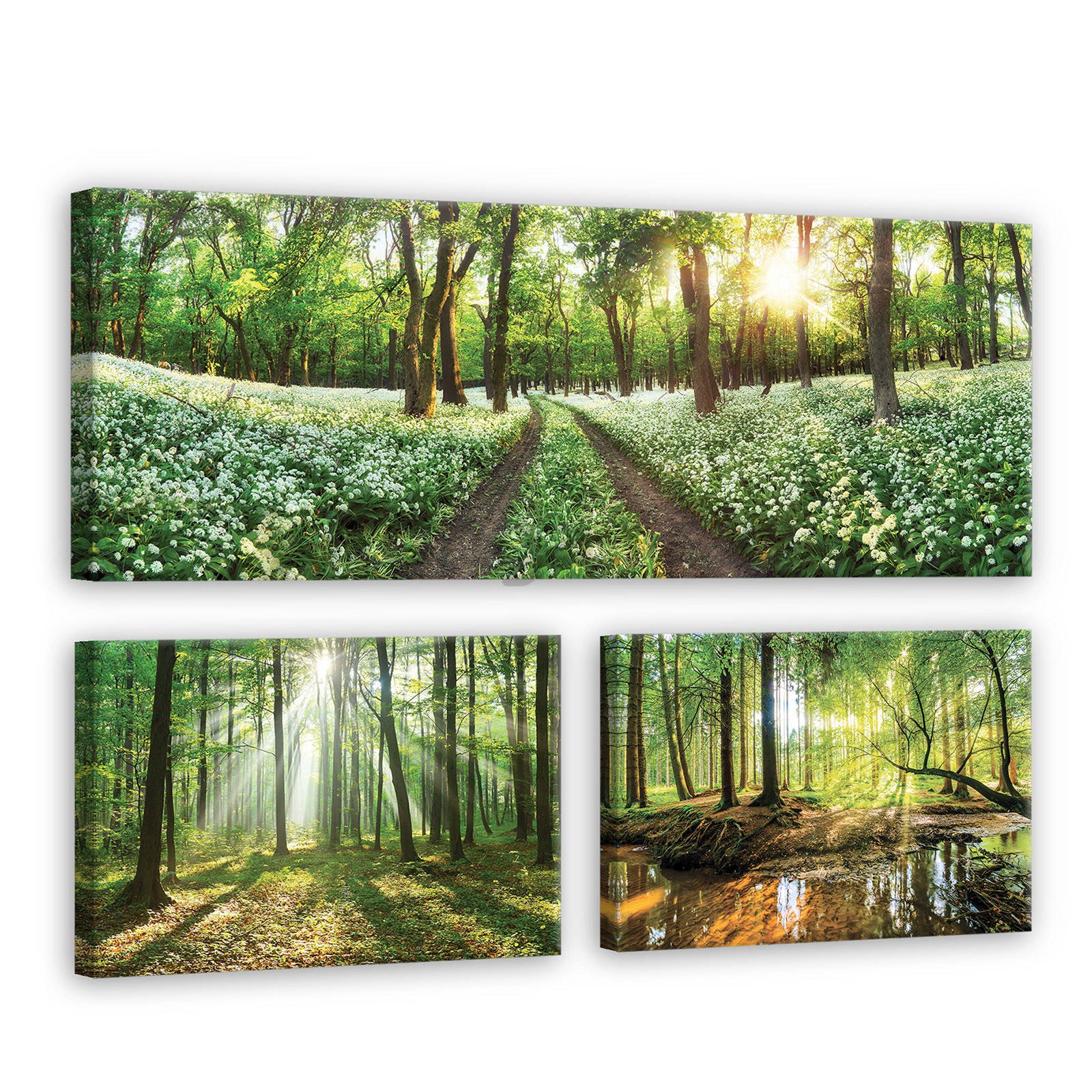Obraz na plátne: Cesta lesom - set 1ks 80x30 cm a 2ks 37,5x24,8 cm