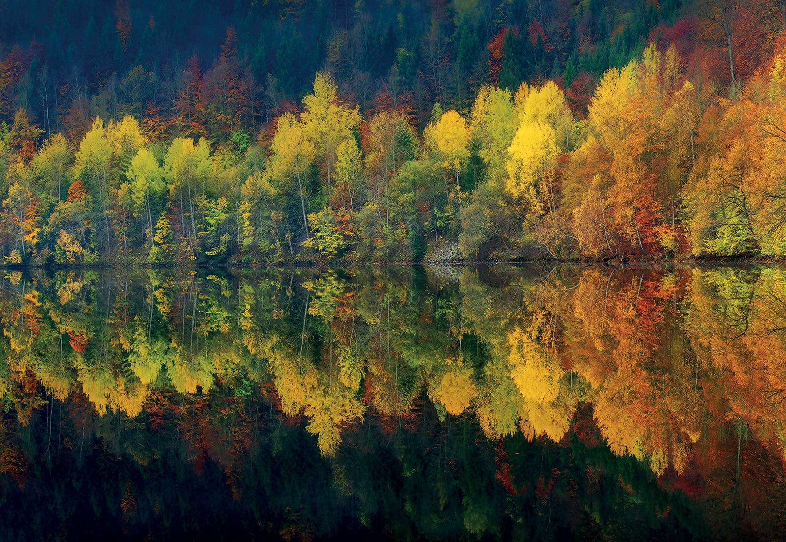 Fototapeta: Jesenné les a jazero - 368x254cm