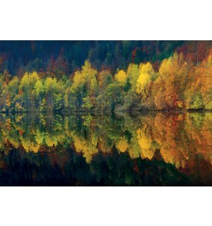 Fototapeta: Jesenné les a jazero - 368x254cm