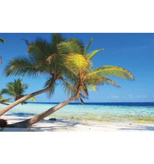 Fototapeta vliesová: Pláž s palmou - 184x254 cm