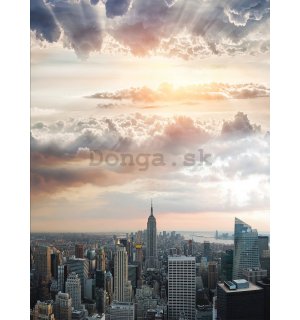 Fototapeta: Pohľad na Manhattan (2) - 184x254 cm
