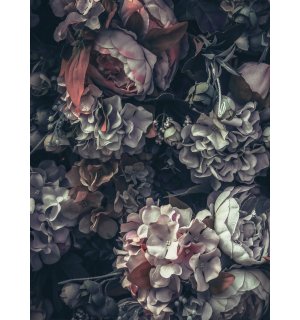 Fototapeta: Kvetinová kombinácie (2) - 184x254 cm
