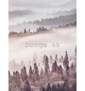 Fototapeta: Hmlistý les - 184x254 cm